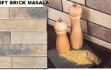 wodna elewacja loft brick masala JPG