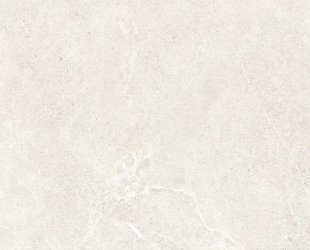 distinct-pearl-60x120-rf-1-e1744358592937