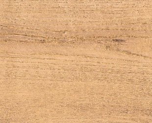 sentimental-wood-honey-120x20-rf-1