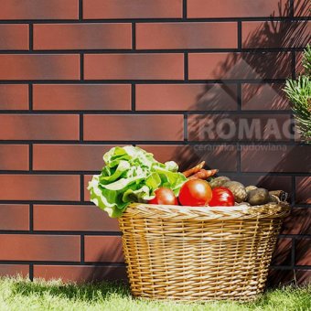 wodna elewacja ciemnczerwona naturalnie cieniowana 3
