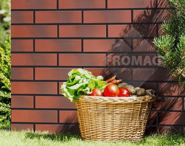 wodna elewacja ciemnczerwona naturalnie cieniowana 3